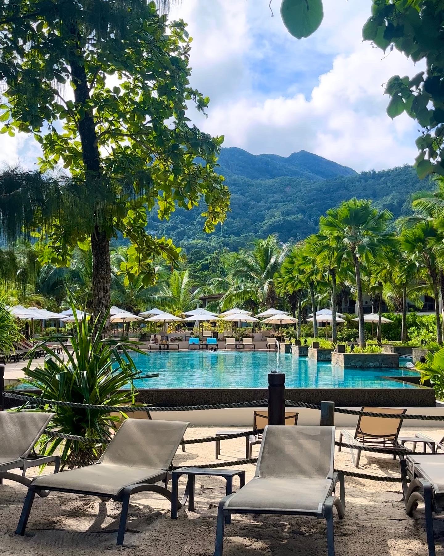 Pool surrounded by palms and lush mountain scenery in Seychelles